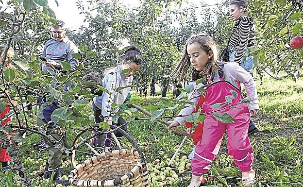 Imagen principal - Astigarraga: Ni la lluvia pudo con el Sagar Uzta