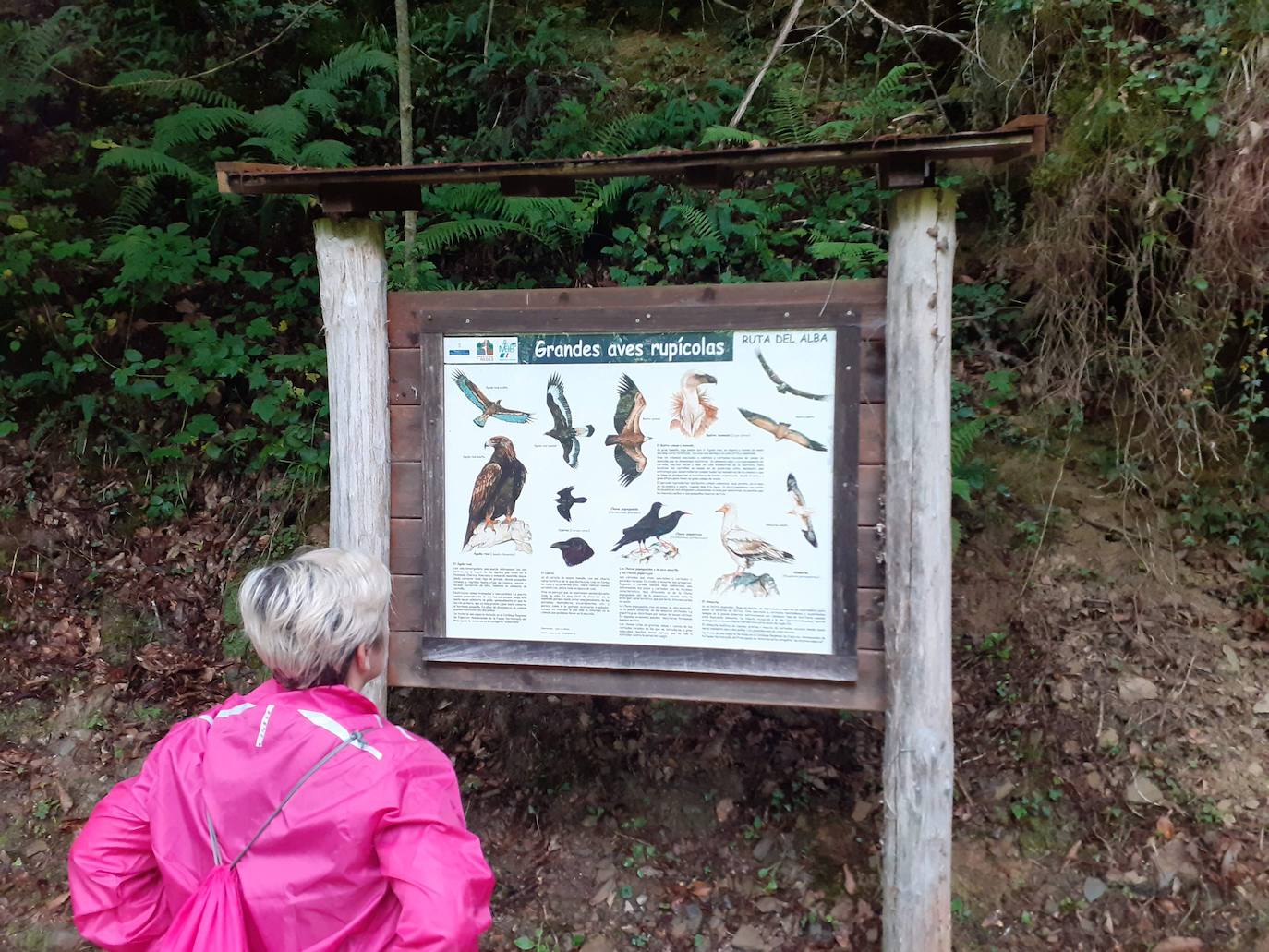 Fotos: Entre bosques encantados y ríos