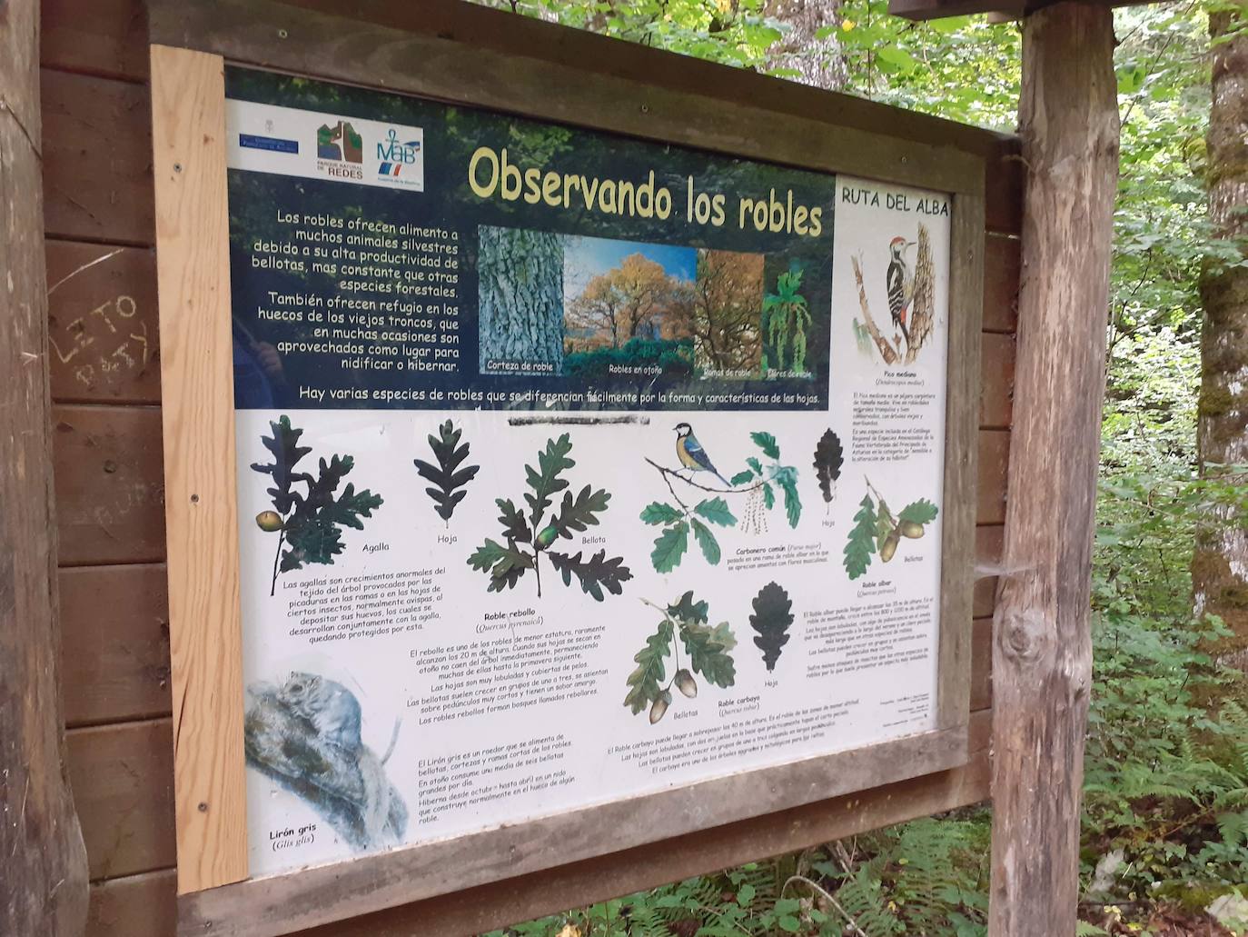 Fotos: Entre bosques encantados y ríos