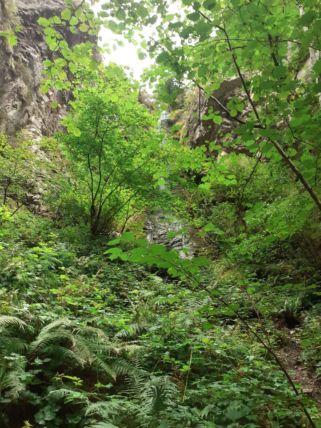 Fotos: Entre bosques encantados y ríos