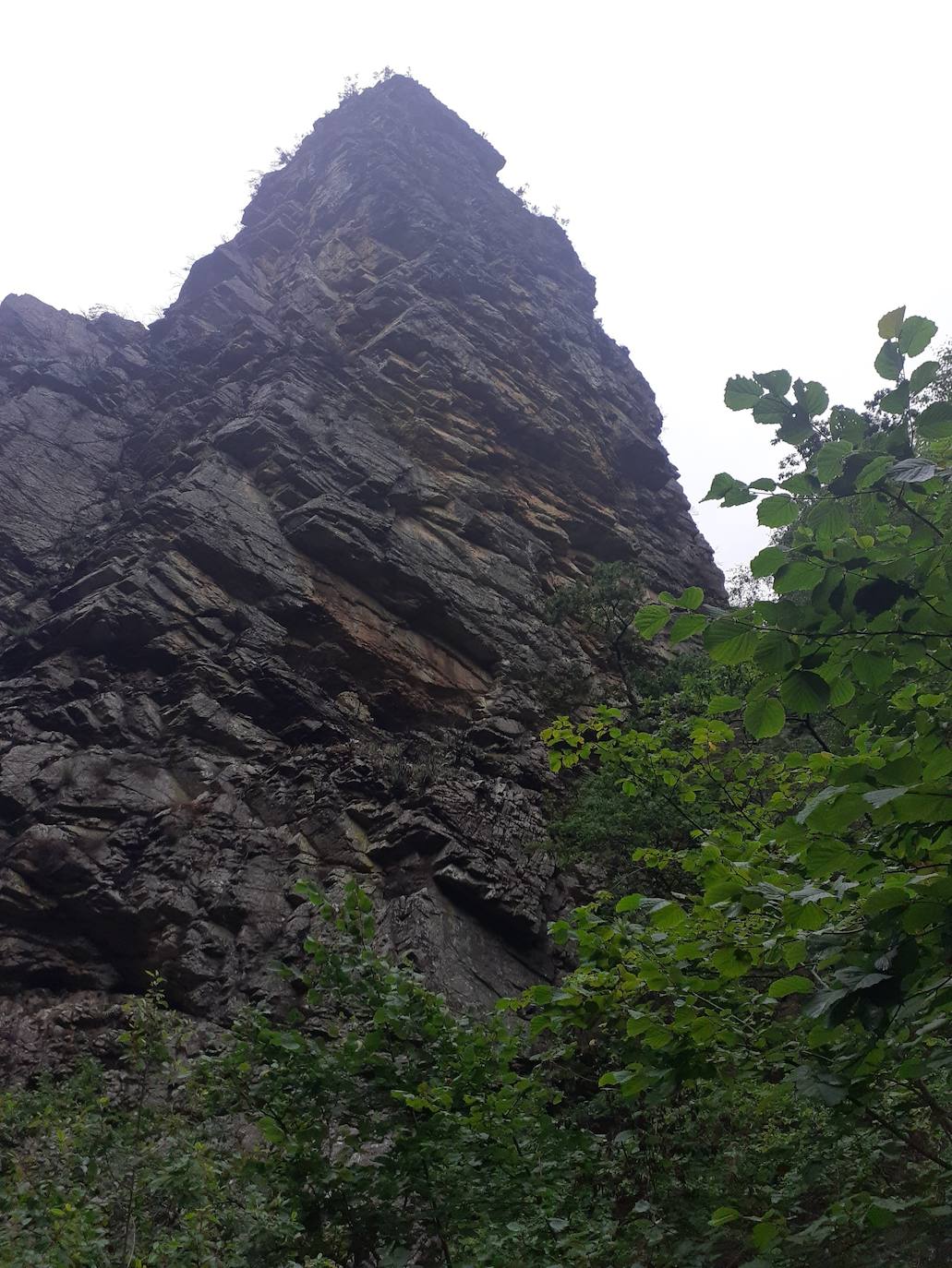 Fotos: Entre bosques encantados y ríos