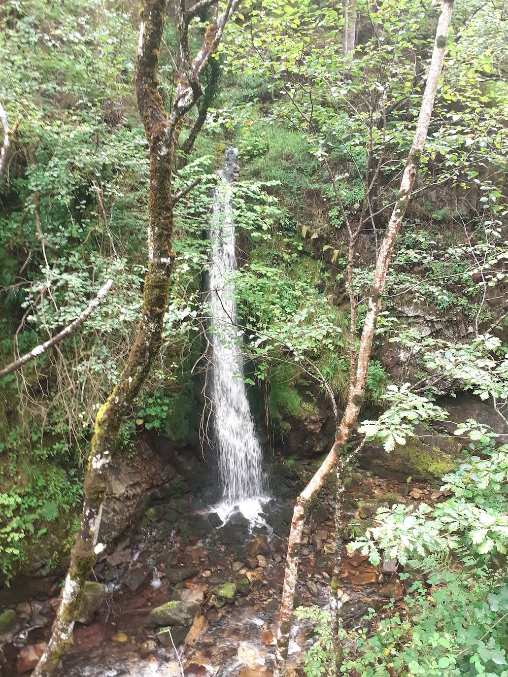 Fotos: Entre bosques encantados y ríos