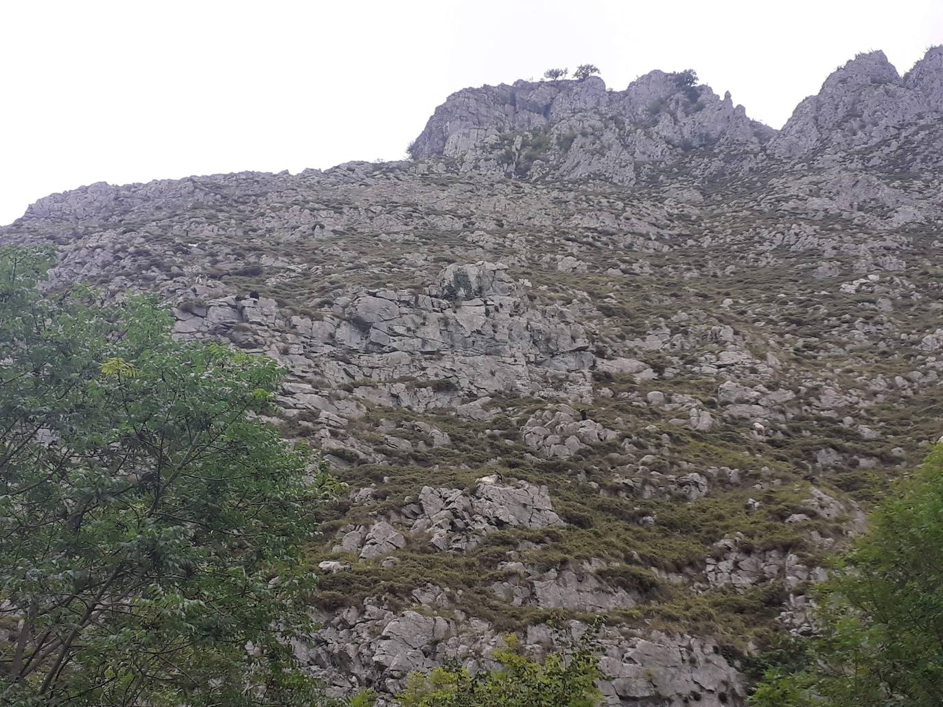 Fotos: Entre bosques encantados y ríos