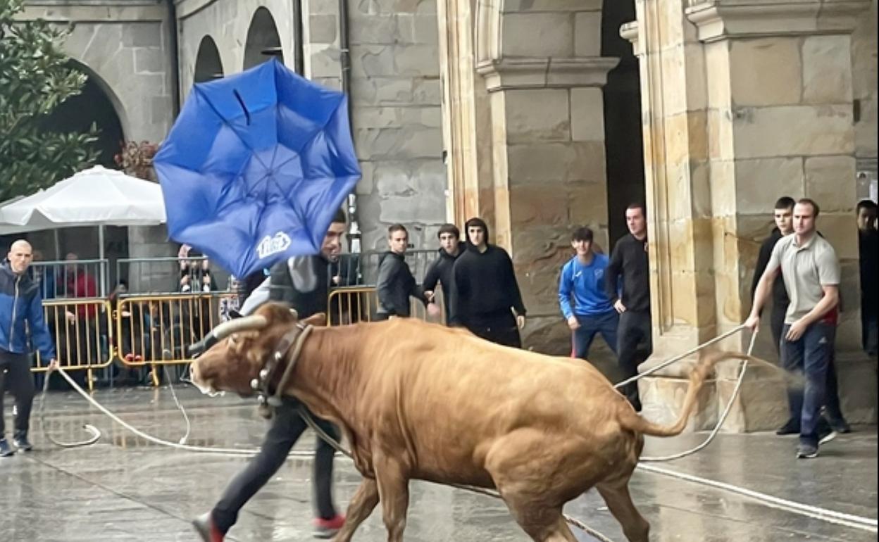 Las sokamuturras ofrecían ayer a la tarde los primeros recortes y carreras en la plaza y la Alhóndiga. Quiebros, saltos y muchos resbalones pusieron emoción y ambiente. 