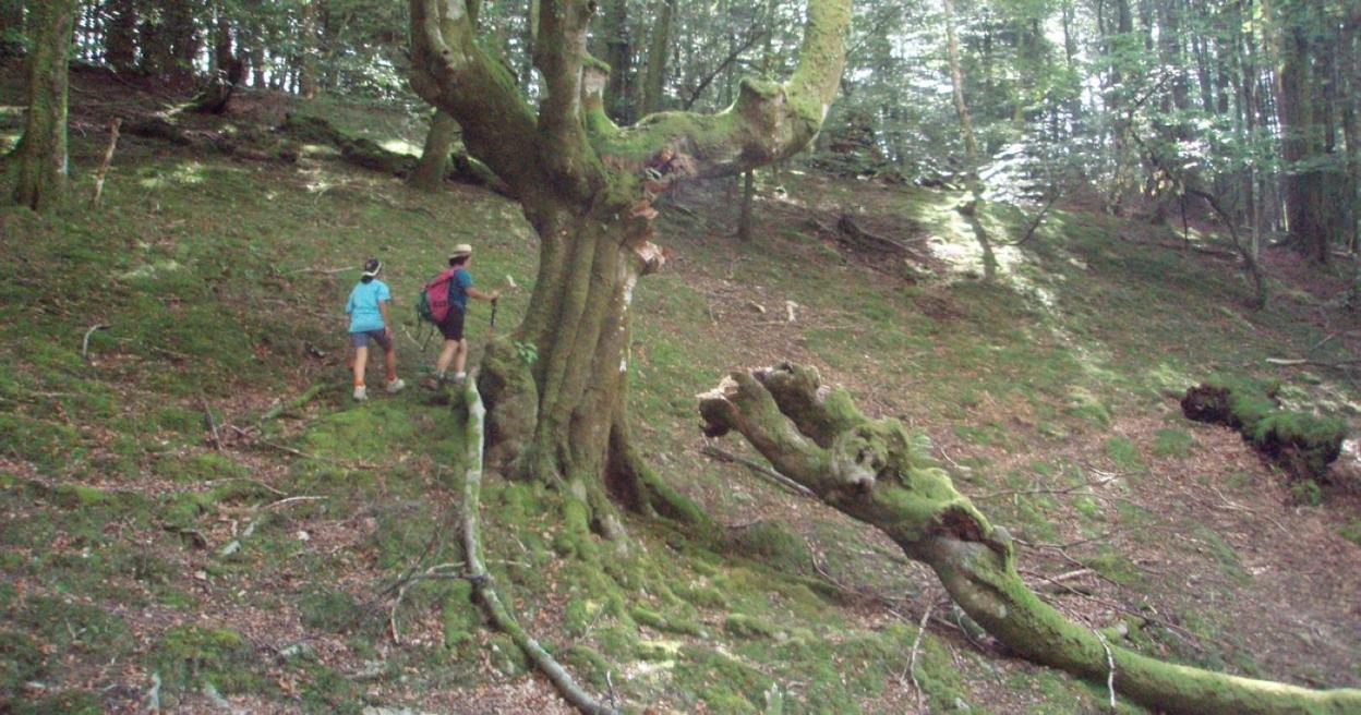 Altuetako gaina ezagutzeko parada izango dute mendizaleek. 