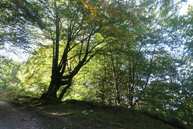 Fotos: Kurtzebarri, trio de damas