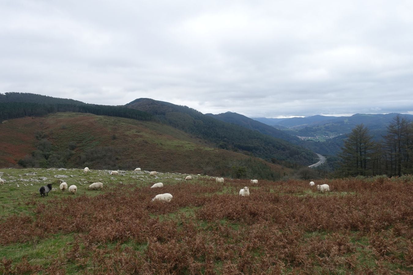 Fotos: Ruta a la cima de Belabieta