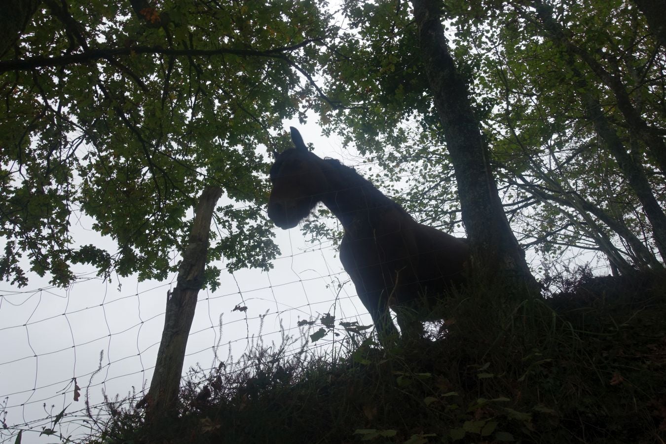 Fotos: Ruta a la cima de Belabieta