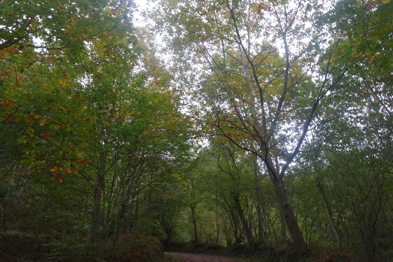 Fotos: Ruta a la cima de Belabieta