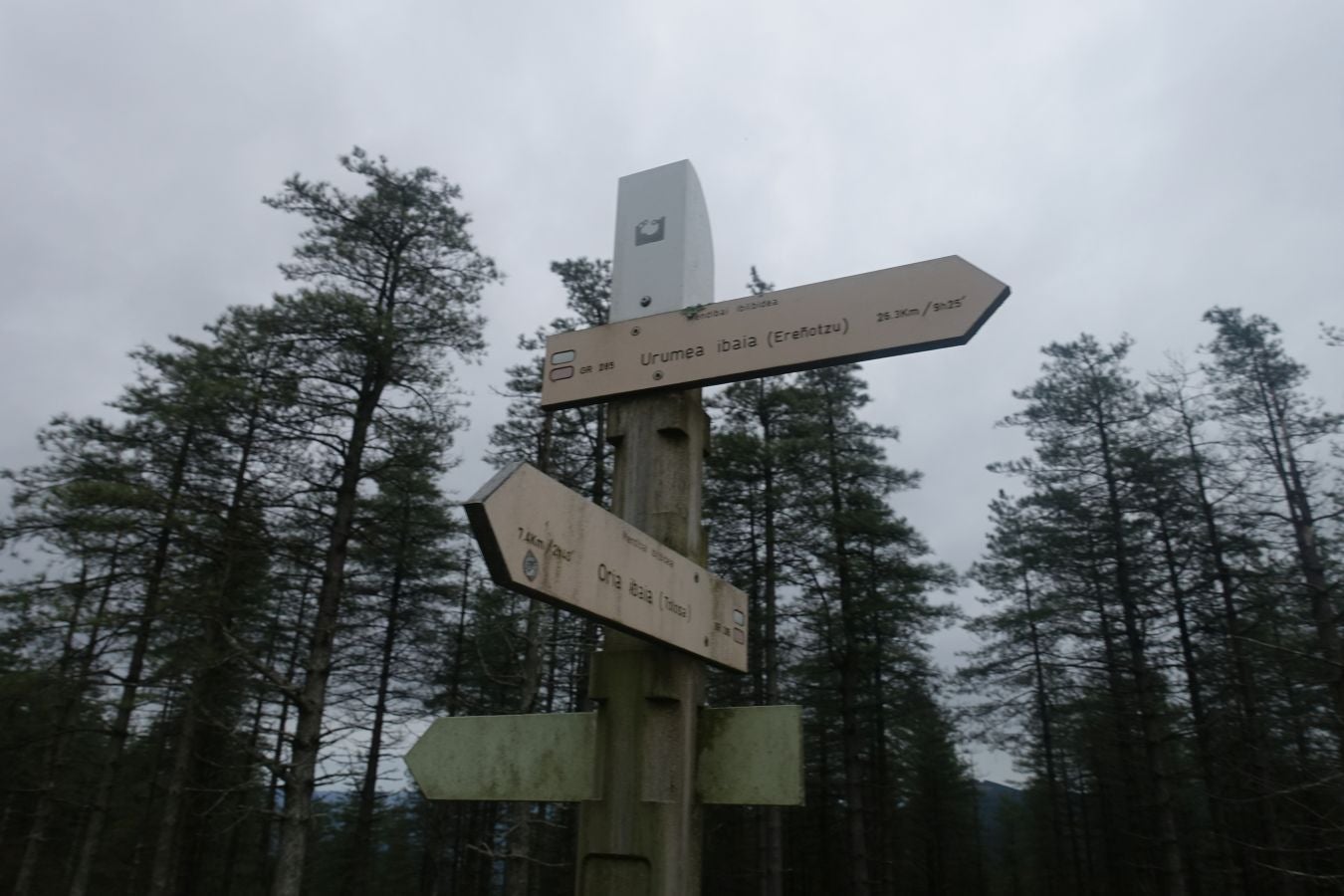 Fotos: Ruta a la cima de Belabieta