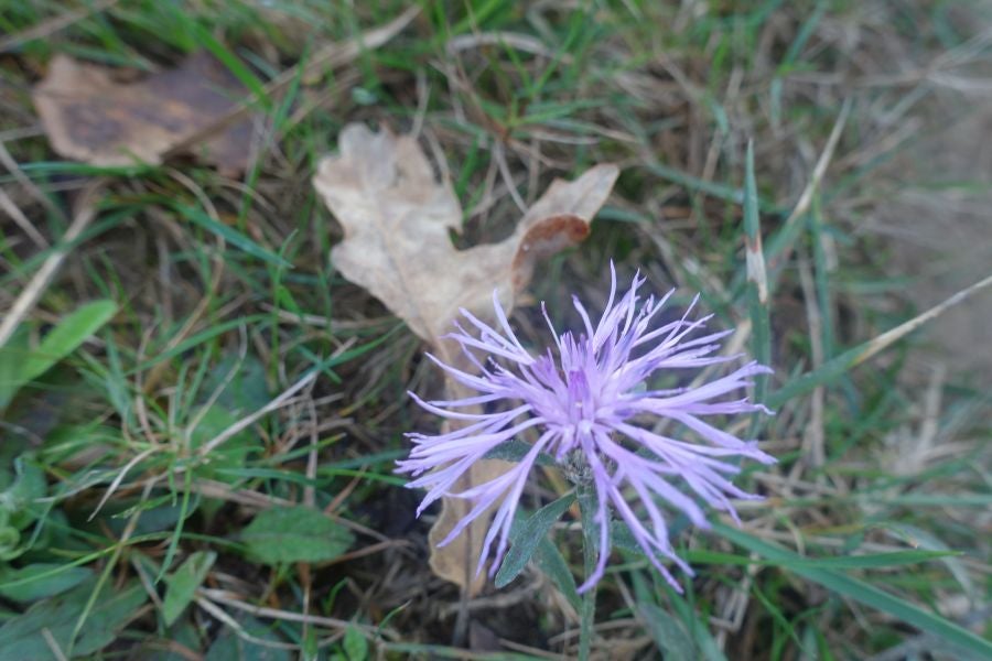 Fotos: Kukuarri: el perfecto mirador al Cantábrico