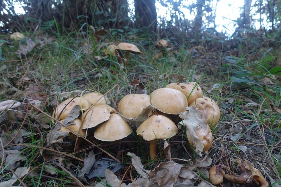Fotos: Kukuarri: el perfecto mirador al Cantábrico