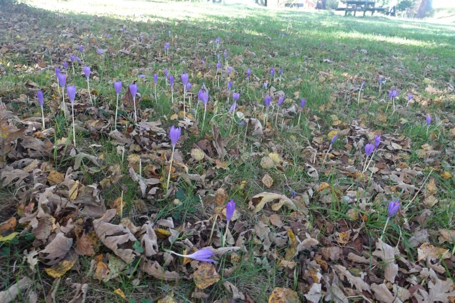 Fotos: Kukuarri: el perfecto mirador al Cantábrico