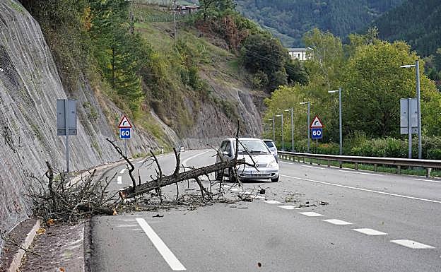 Árbol caído en al variante de Eibar.