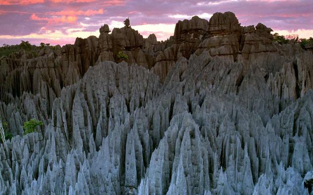 Parque nacional Tsingy de Bemaraha (Madagascar)