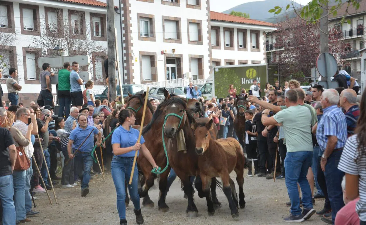 Baztan: Miles de personas abarrotan las calles de Elizondo el primer día de  Ferias de Otoño | El Diario Vasco