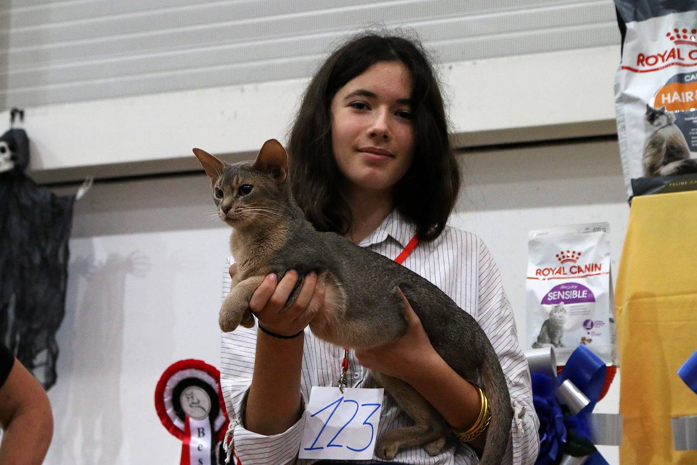 Fotos: XV Exposición Internacional Felina en Ficoba