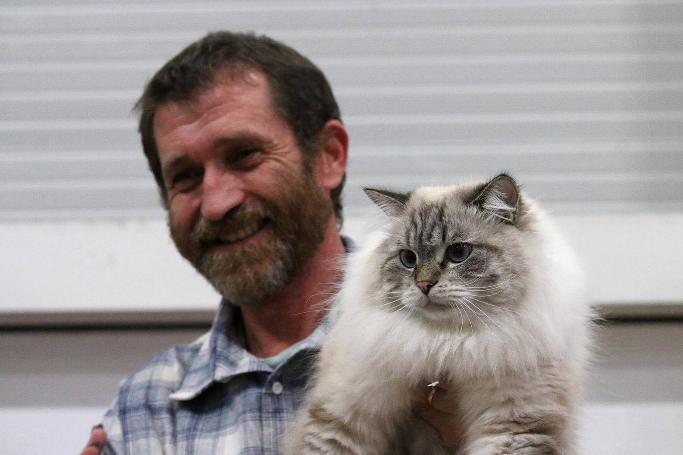 Fotos: XV Exposición Internacional Felina en Ficoba