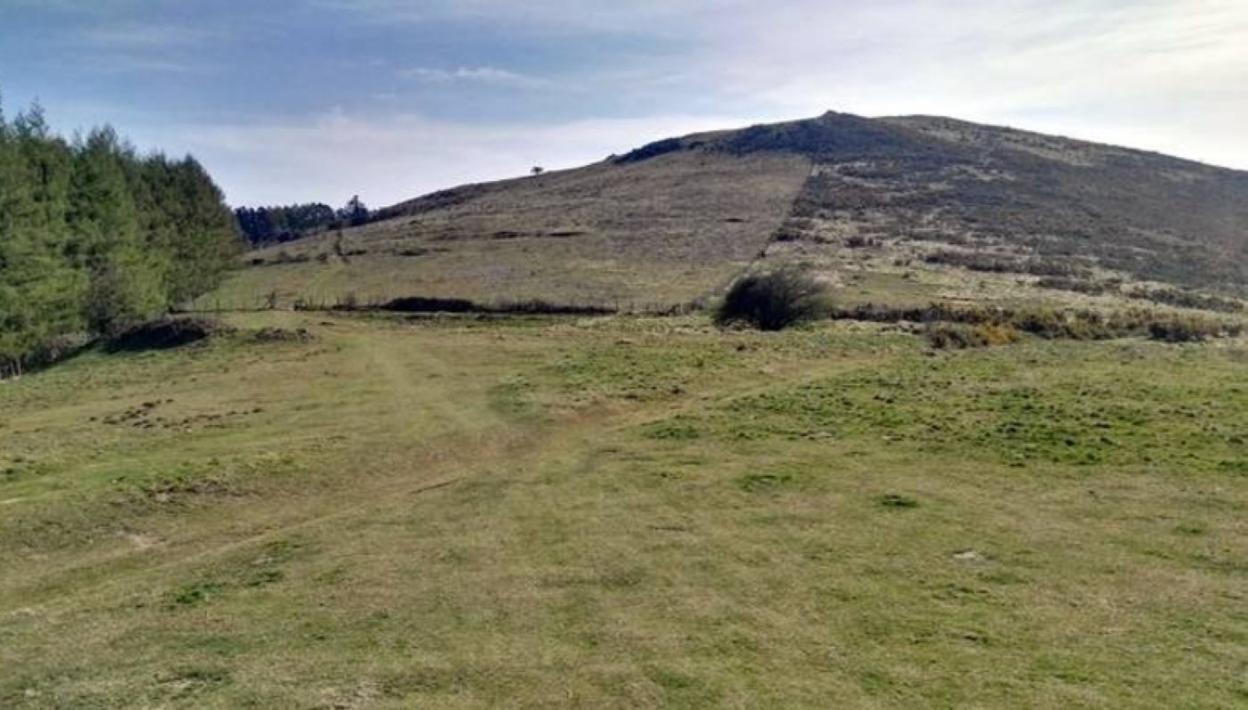 Buruzai proiektuaren arabera bi aerosorgailu jartzeko asmoa dute. 