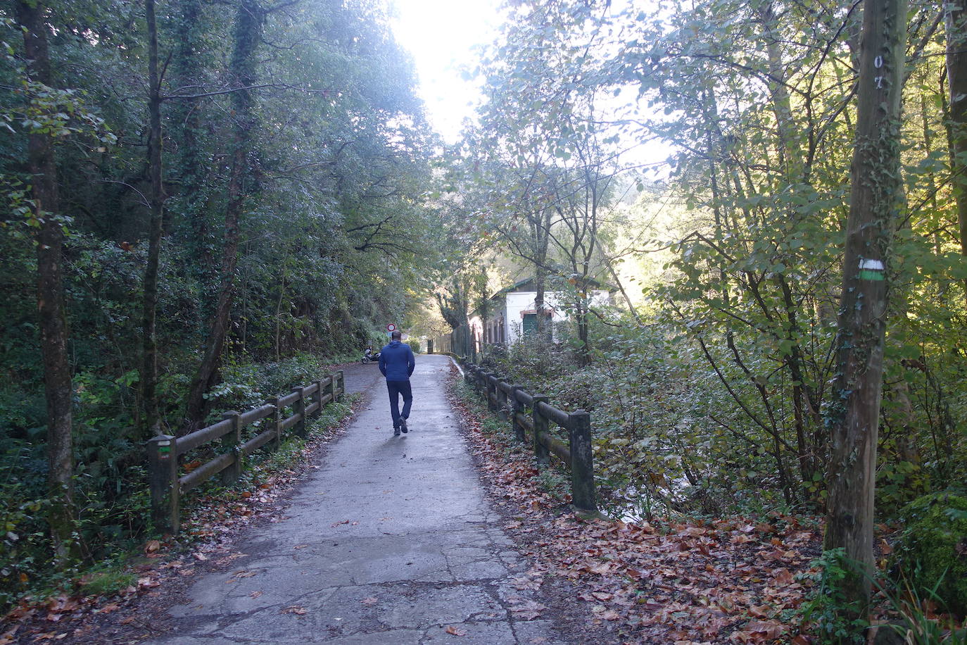 Fotos: Arburu, belleza natural gota a gota