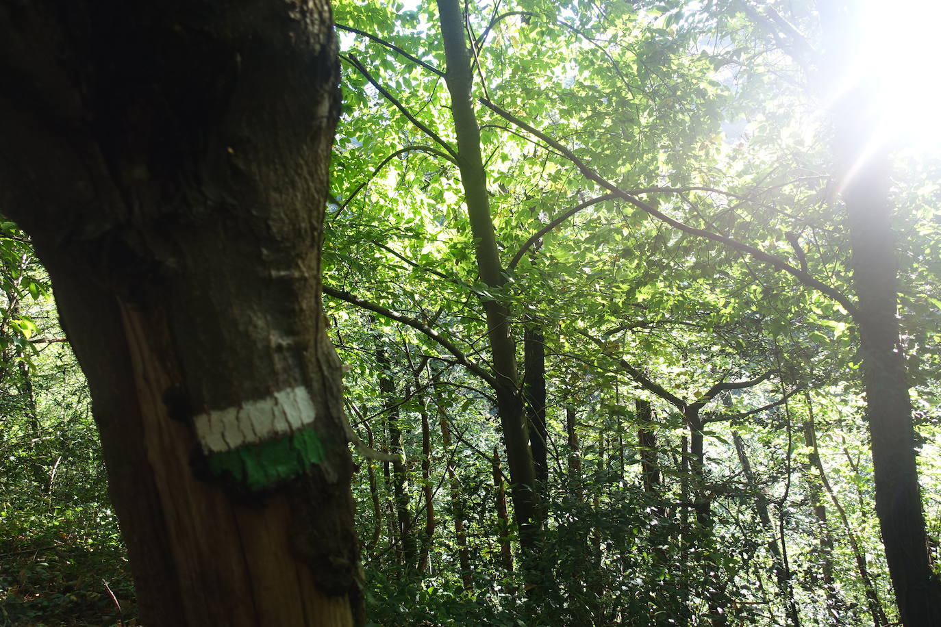Fotos: Arburu, belleza natural gota a gota
