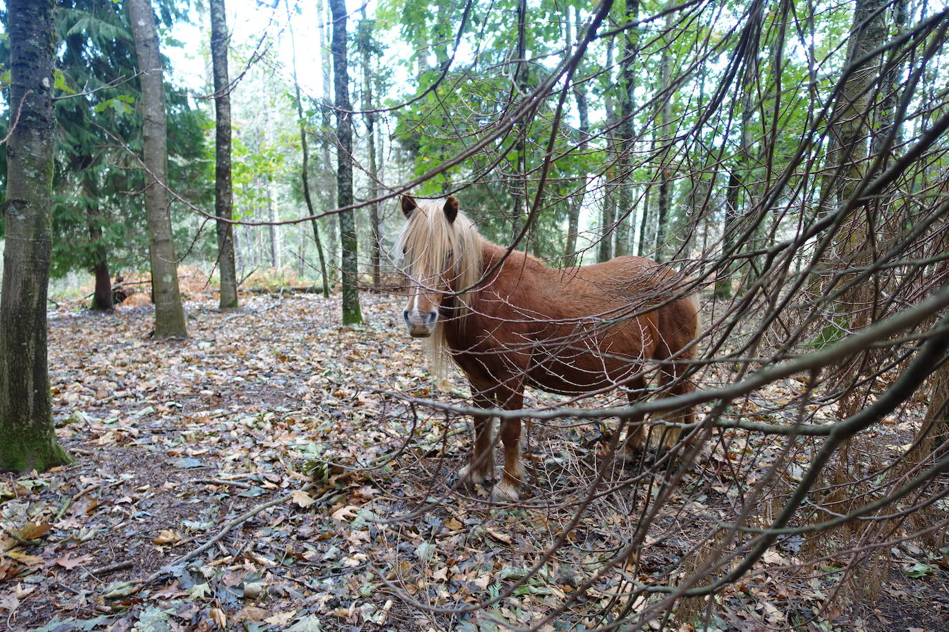 Fotos: Arburu, belleza natural gota a gota