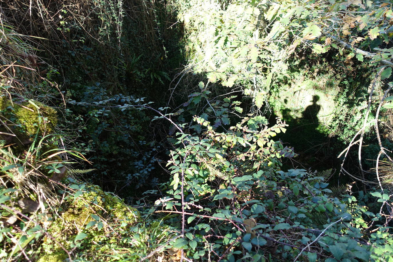 Fotos: Arburu, belleza natural gota a gota