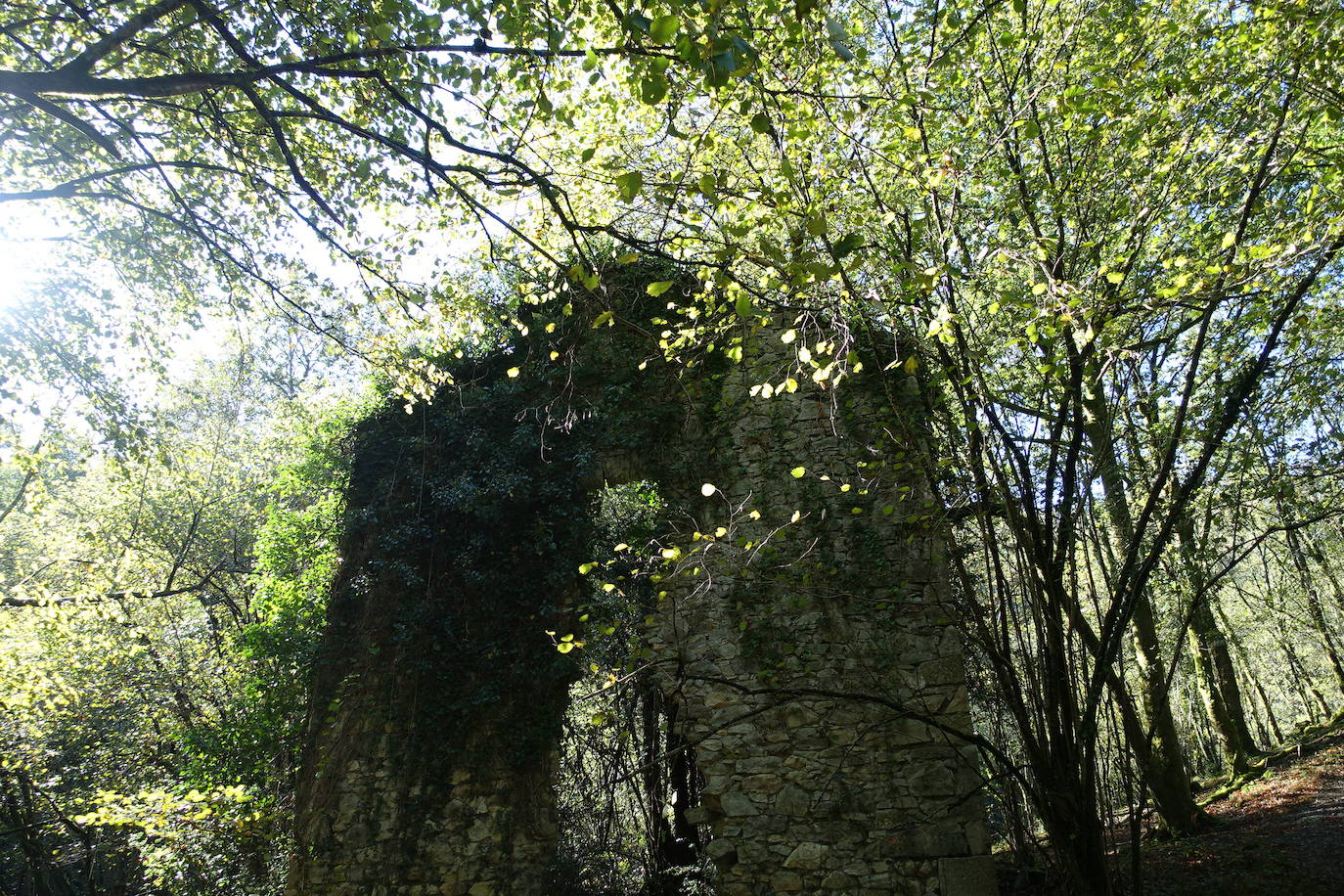 Fotos: Arburu, belleza natural gota a gota