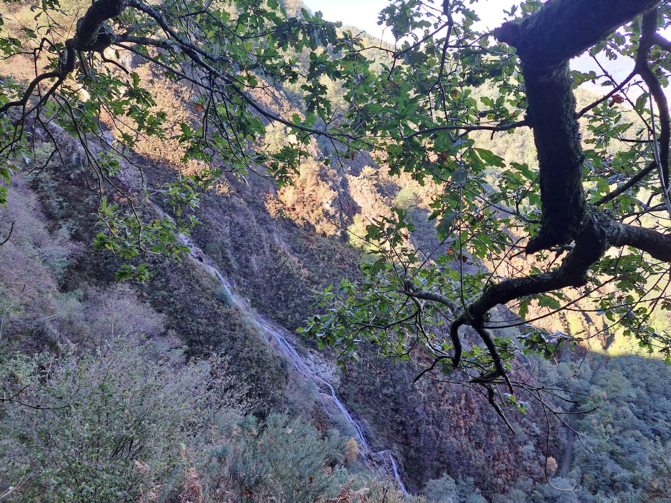Fotos: Arburu, belleza natural gota a gota