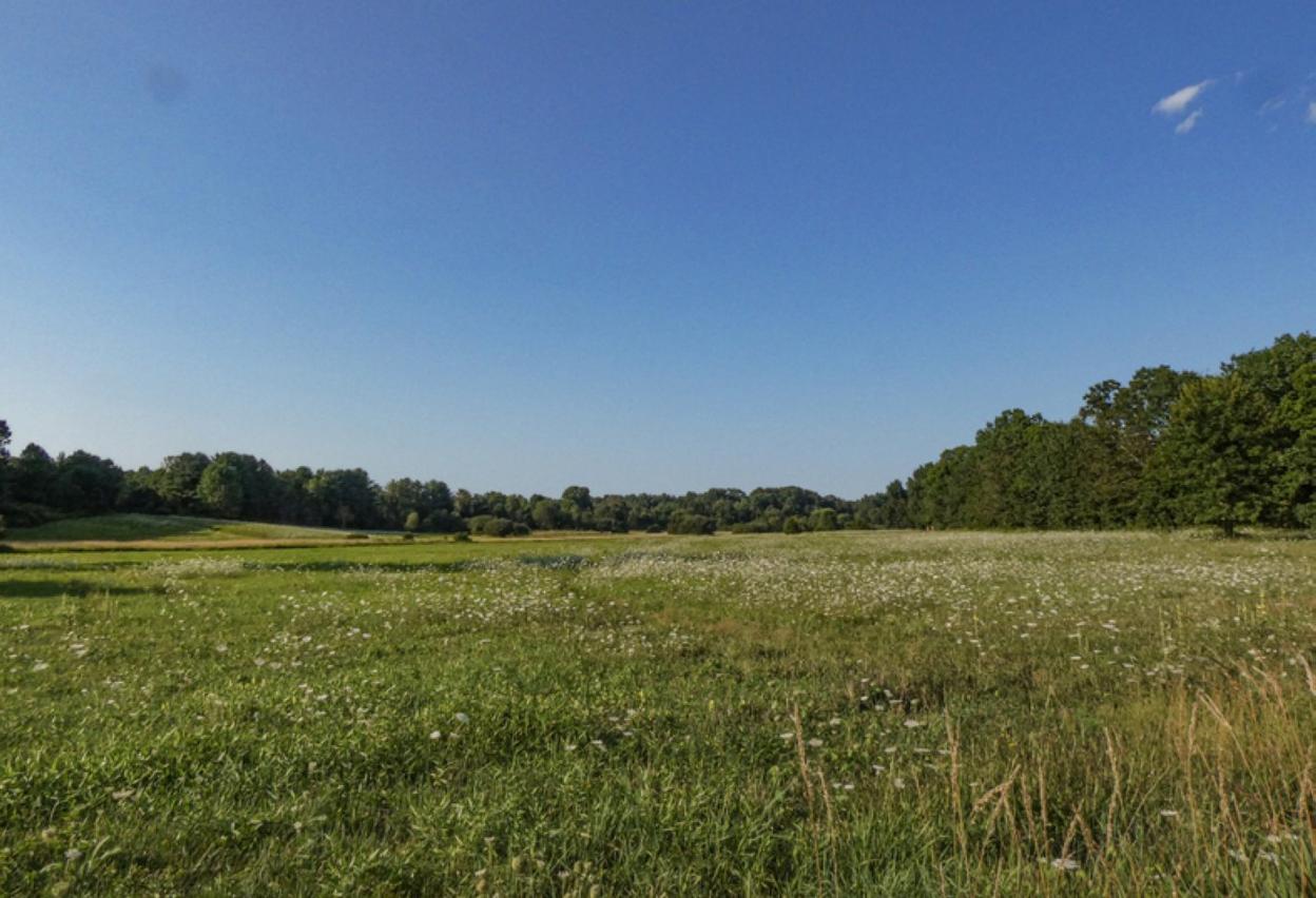 Este mes comenzarán a. topografiar los terrenos rurales. 