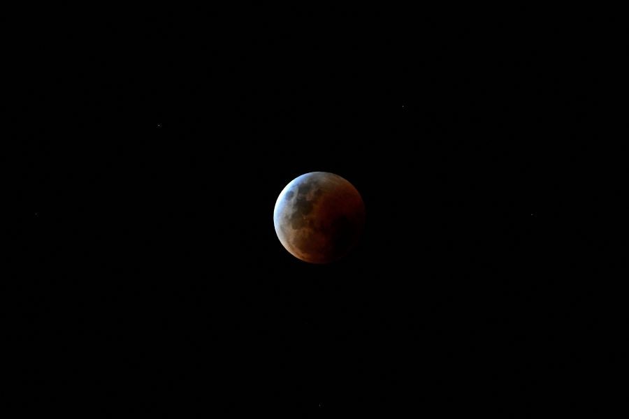 Fotos: Así se vio la luna de sangre