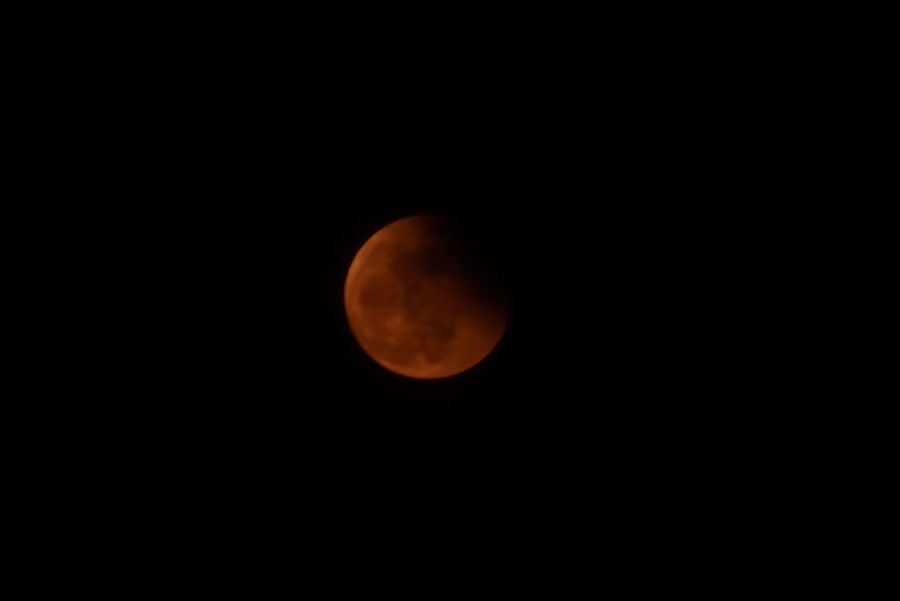Fotos: Así se vio la luna de sangre