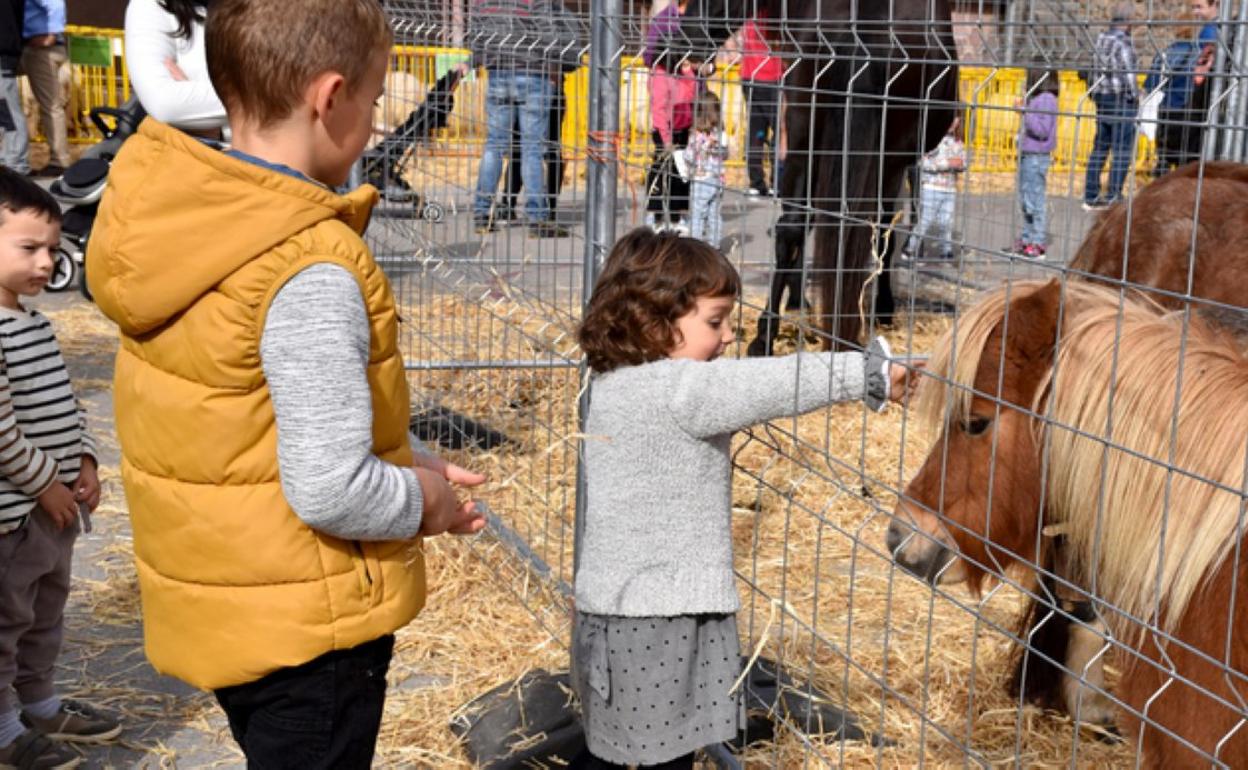 Txikienek ederki pasatu zuten animaliekin. 