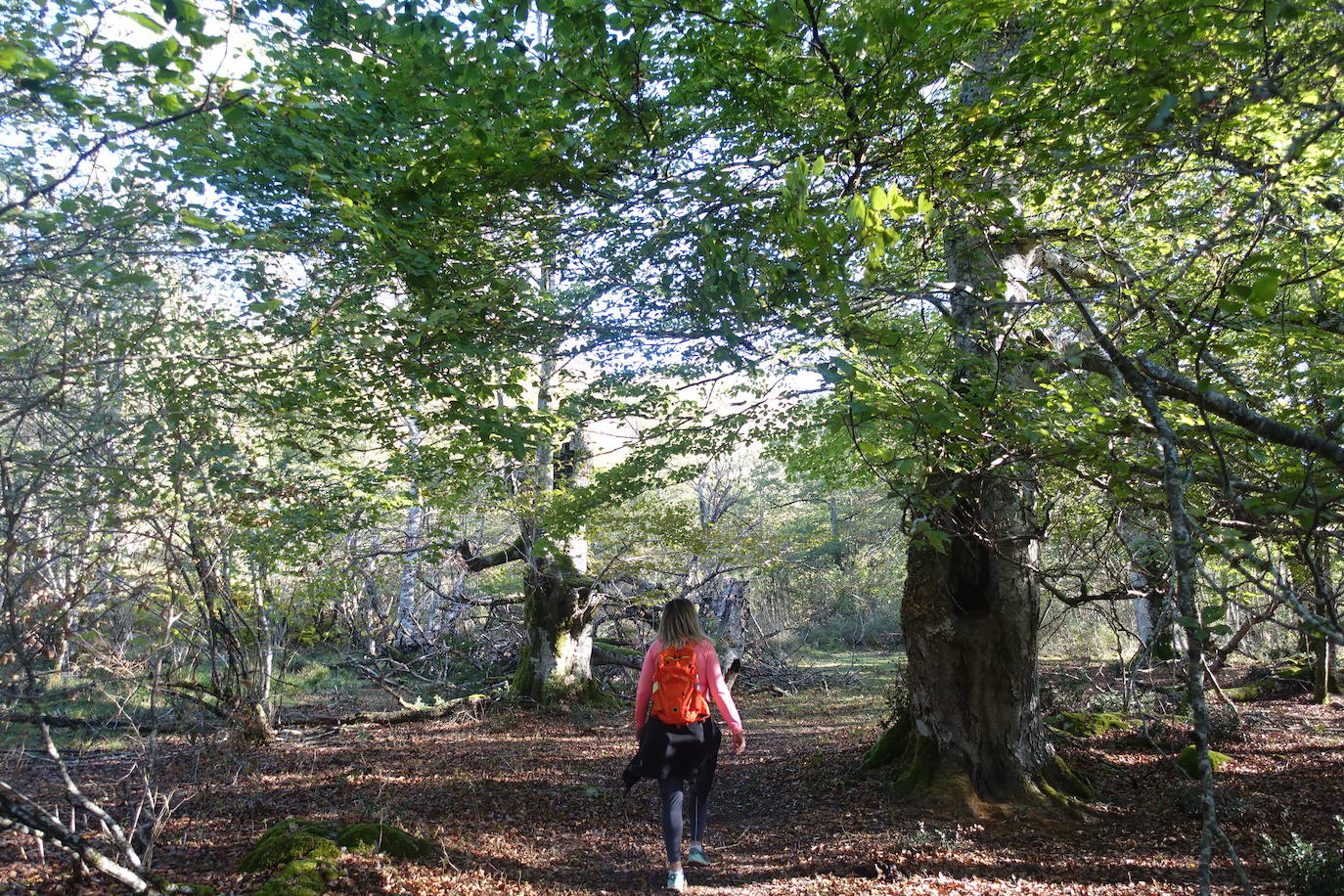 Fotos: Ata. El valle de las piedras encantadas