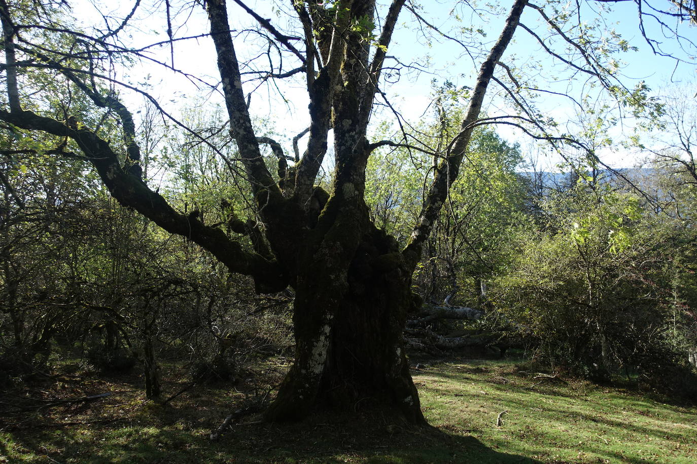Fotos: Ata. El valle de las piedras encantadas