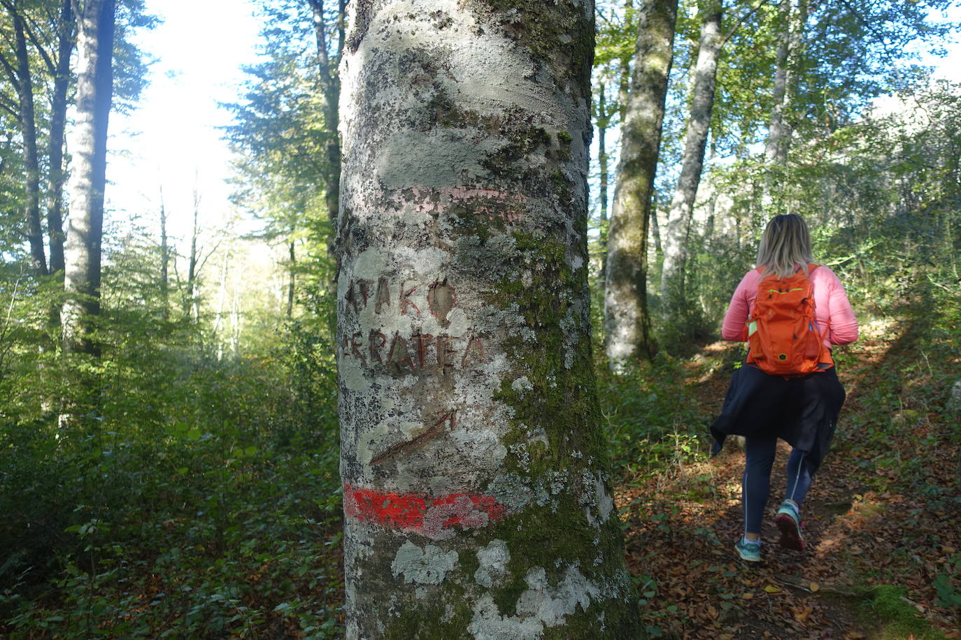 Fotos: Ata. El valle de las piedras encantadas
