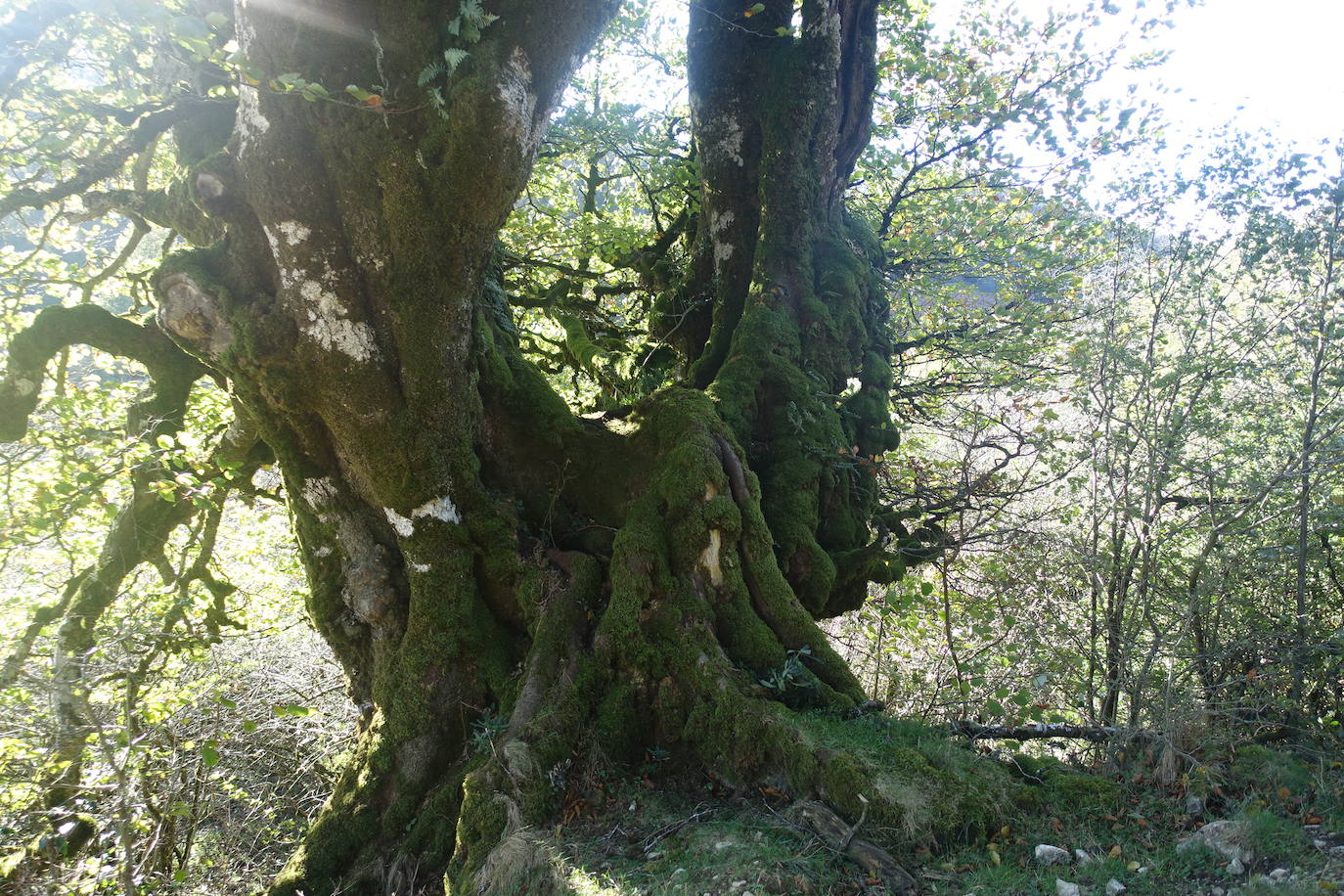 Fotos: Ata. El valle de las piedras encantadas