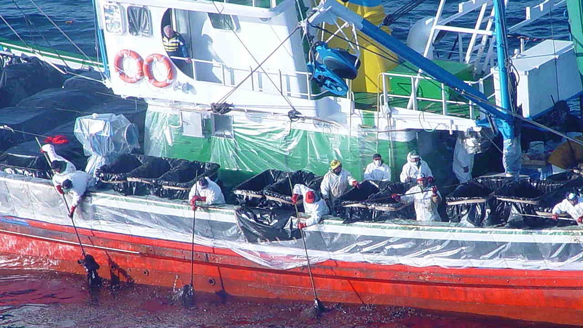 «Si no es por el trabajo de los arrantzales igual aún teníamos chapapote en el bañador»