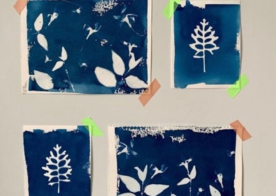 Imagen secundaria 1 - Láminas con cianotipia.