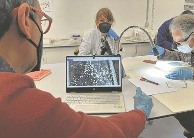 Imagen secundaria 1 - El monte Irulegi, en Aranguren, con su castillo medieval en la cima. Cerca están los restos de las viviendas. Javier Velaza, Carmen Usúa y Joaquín Gorrochategui, en pleno trabajo de verificación. Mattin Aiestaran, director de los trabajos de Aranzadi. 