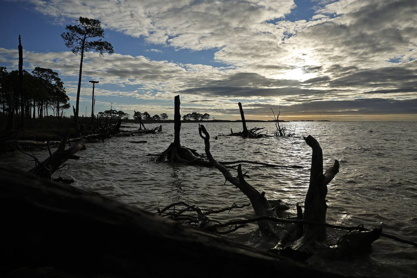 Fotos: El agua se come a las islas Chesapeake