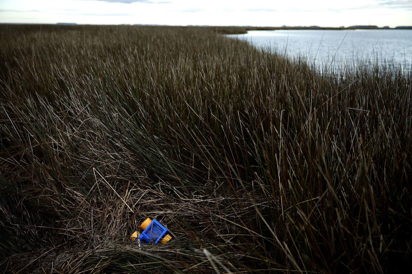 Fotos: El agua se come a las islas Chesapeake