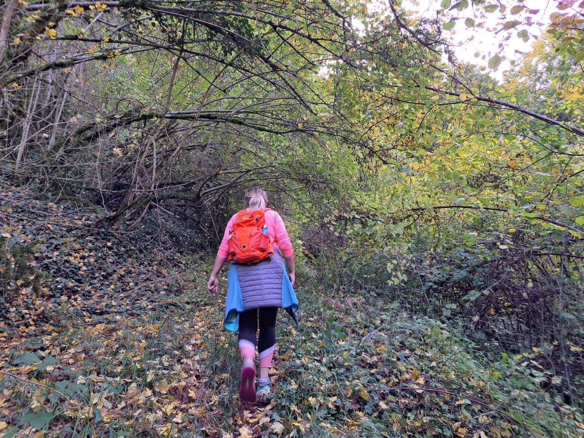 Fotos: Irulegi: impresionante balcón del reino