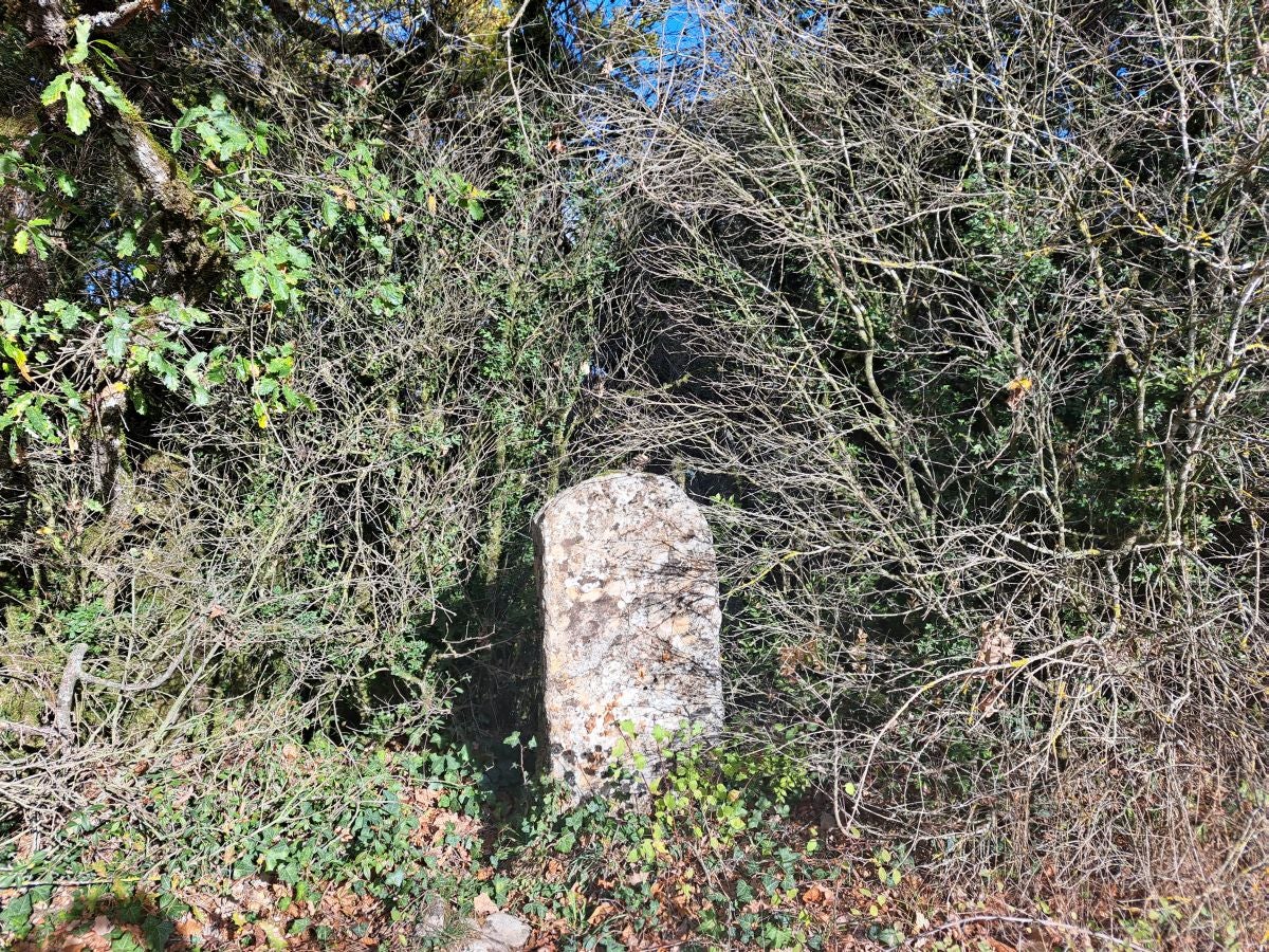 Fotos: Irulegi: impresionante balcón del reino