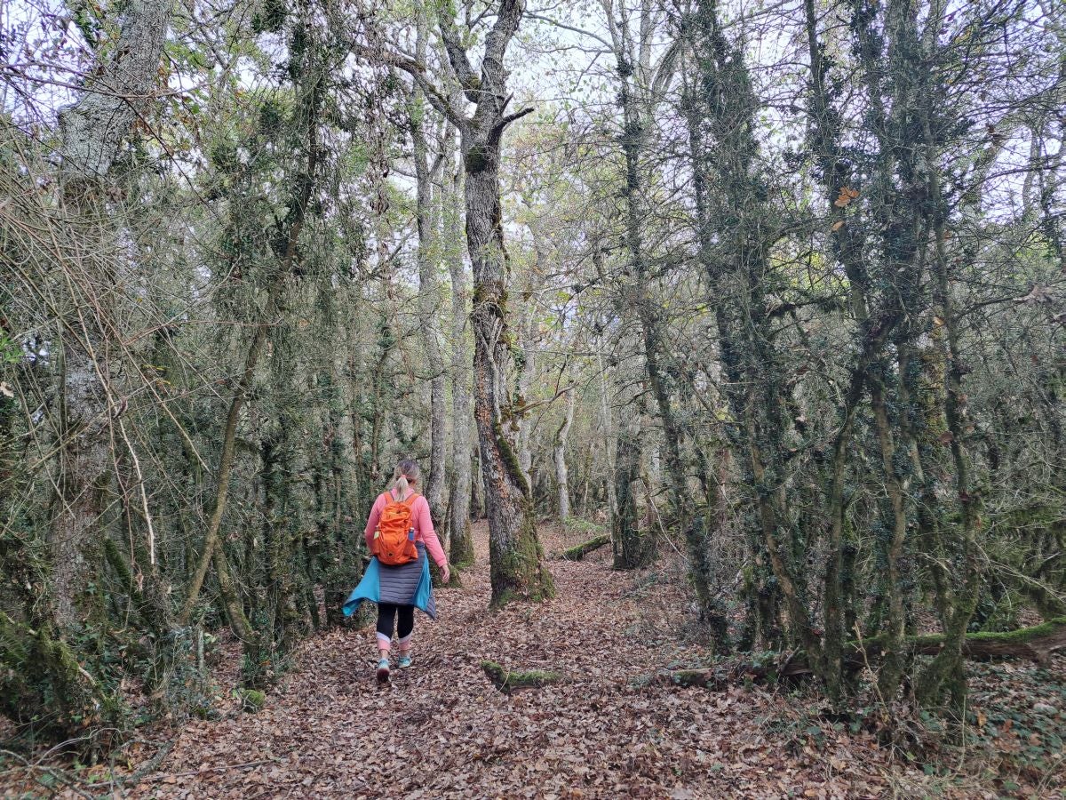 Fotos: Irulegi: impresionante balcón del reino