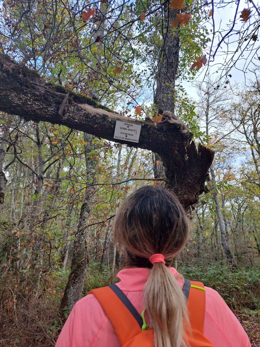Fotos: Irulegi: impresionante balcón del reino