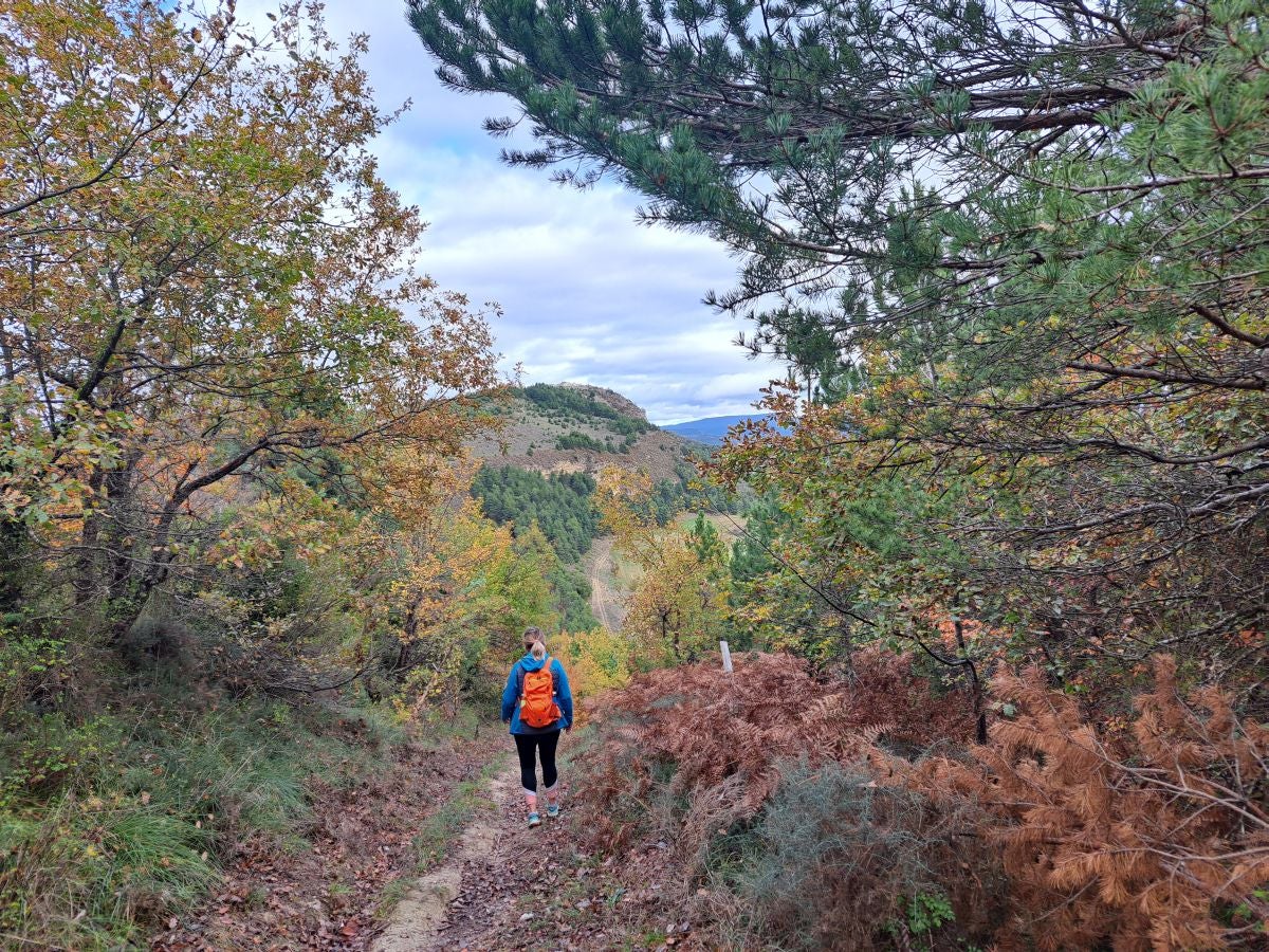 Fotos: Irulegi: impresionante balcón del reino