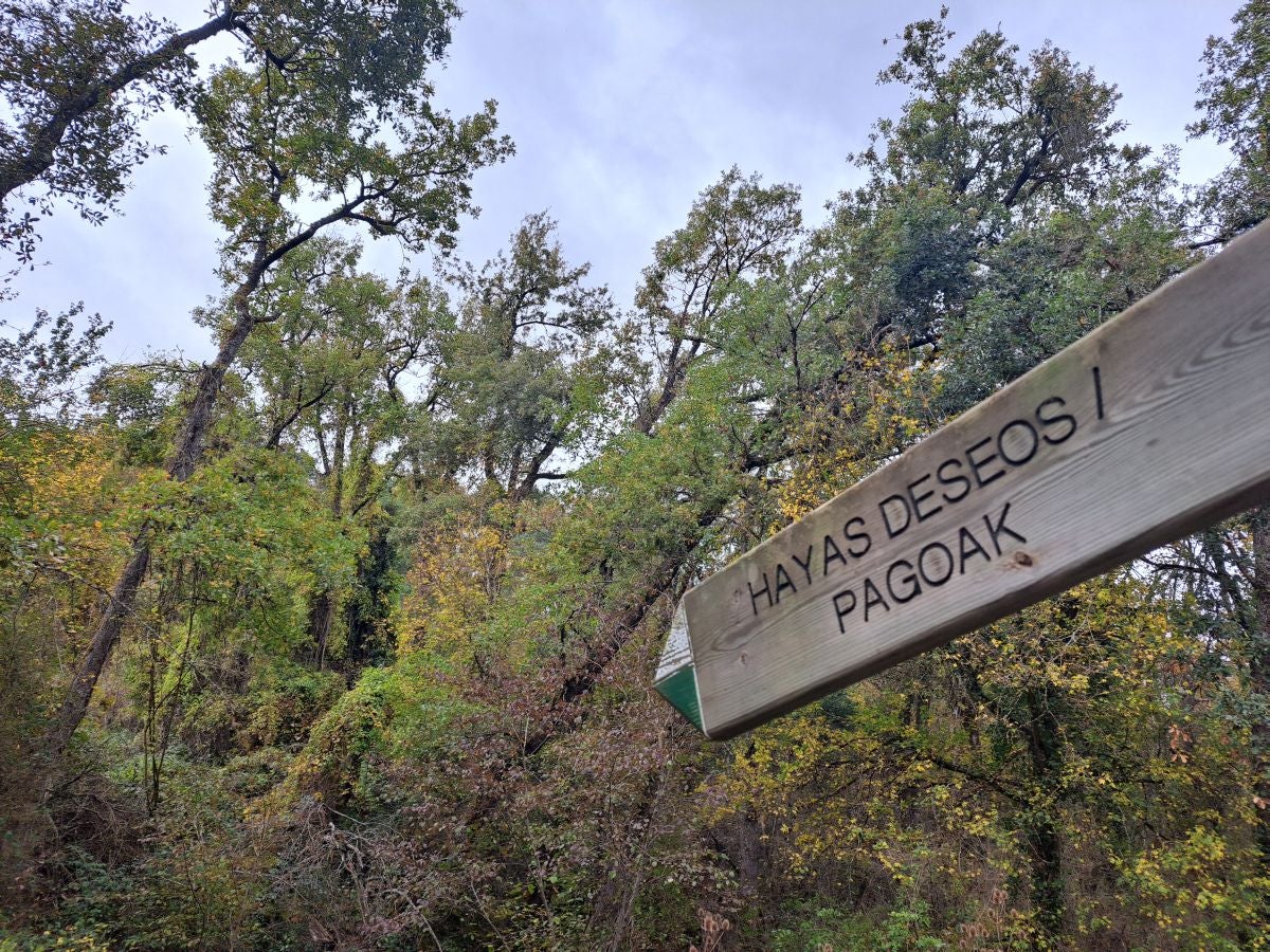 Fotos: Irulegi: impresionante balcón del reino