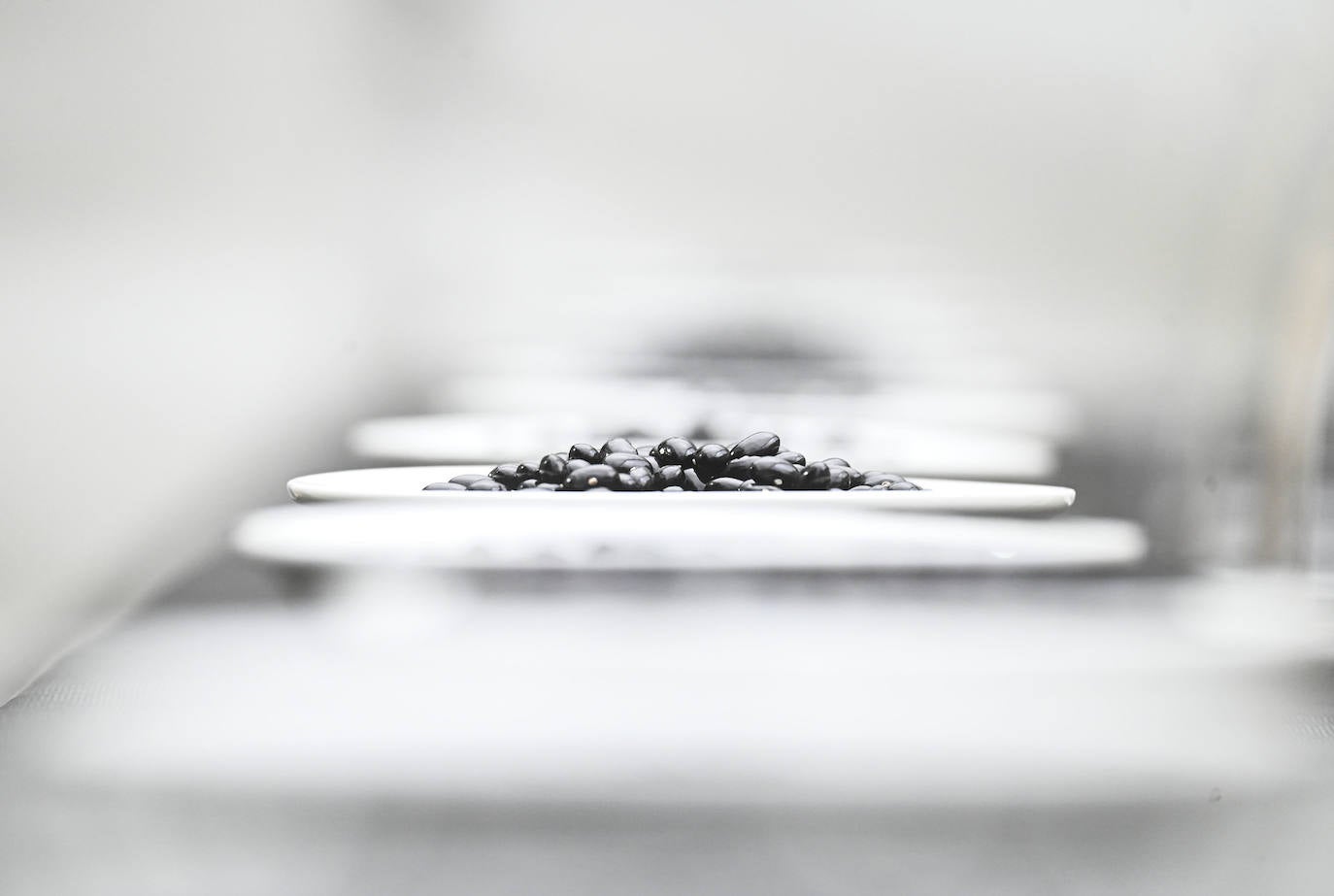 Fotos: Contra el frío y la lluvia, unas buenas alubias