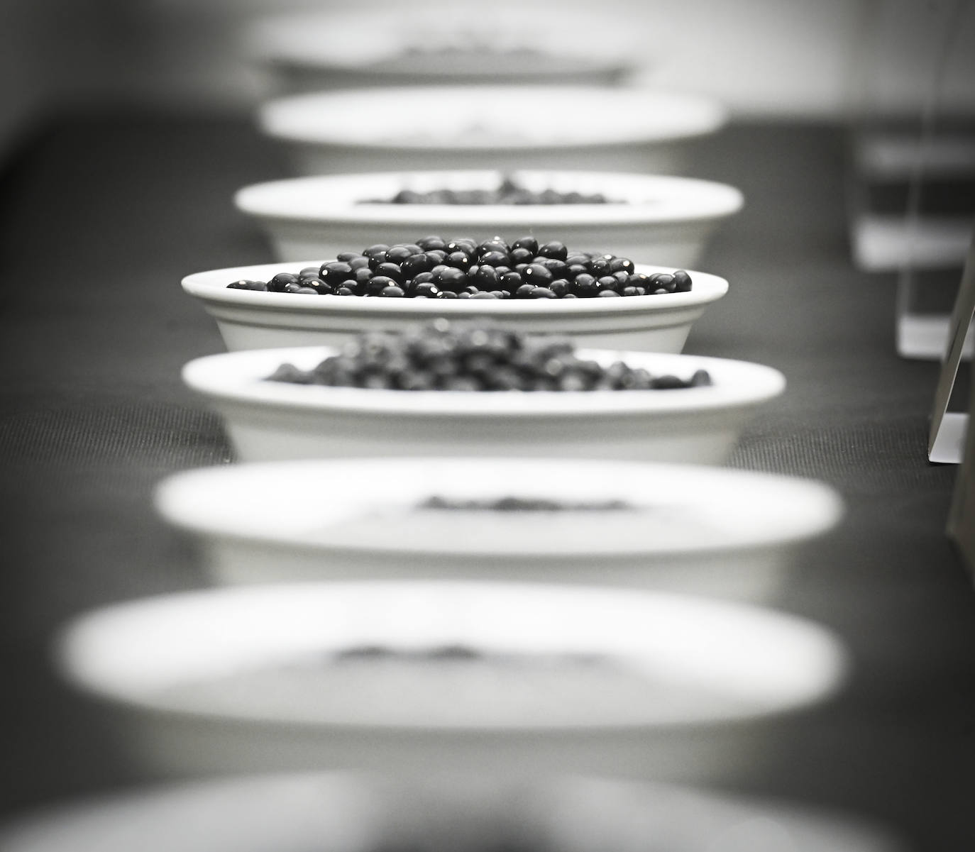 Fotos: Contra el frío y la lluvia, unas buenas alubias